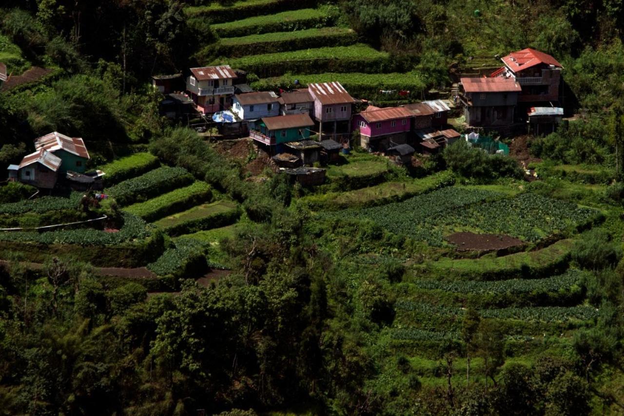 Yashita Homestay دارجيلنغ المظهر الخارجي الصورة